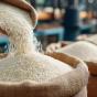Chip Seng Contractor Pte Ltd: Rice Distribution and Supply&nbsp;Services